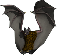 Giant Bat