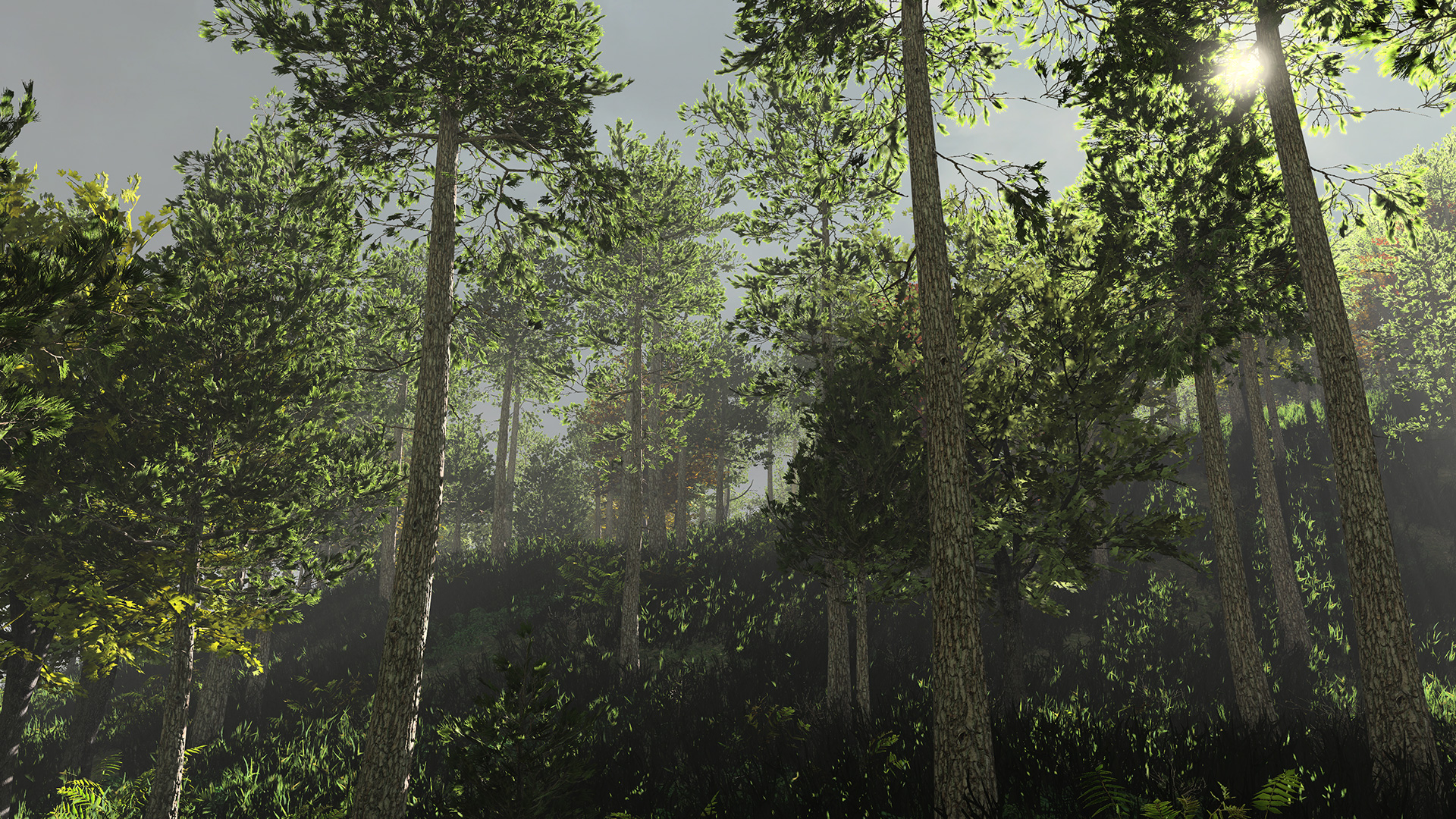 The 31st Game Screenshot