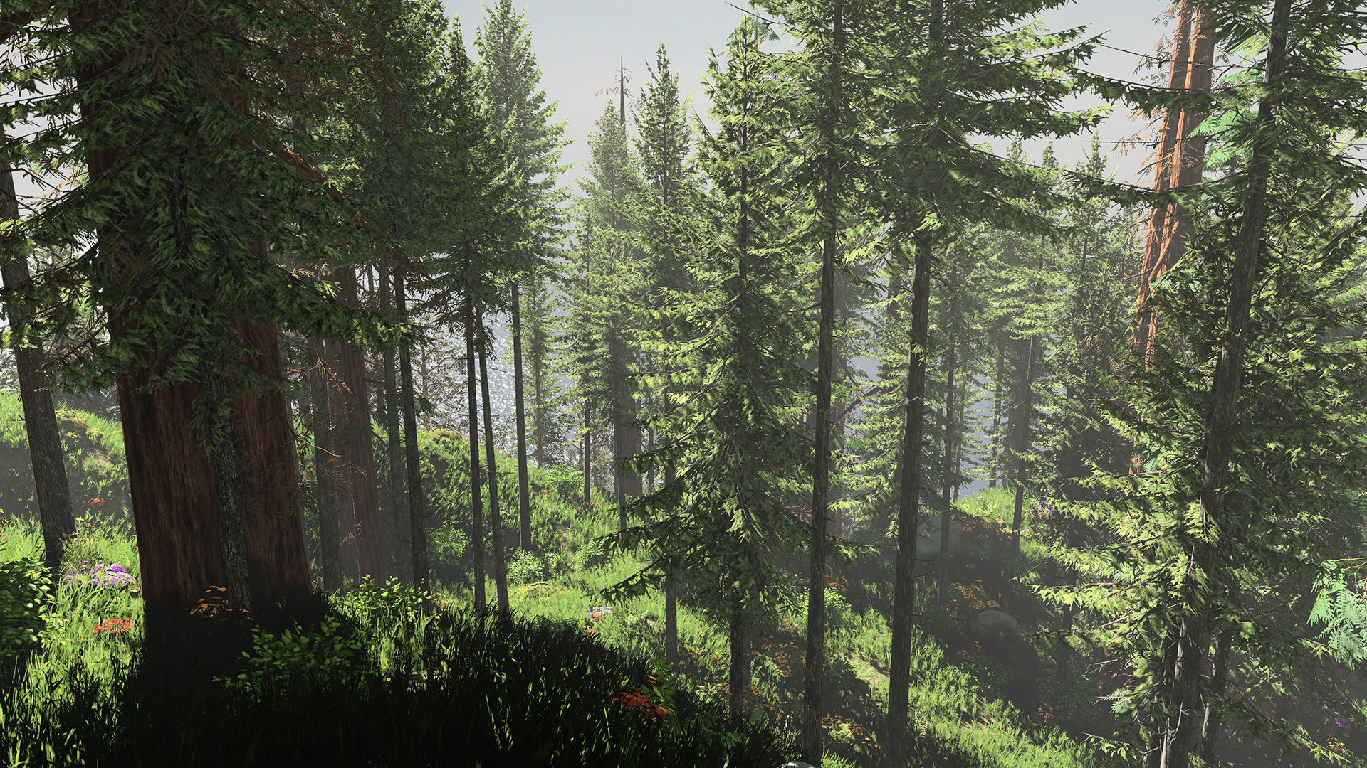 The 31st Game Screenshot